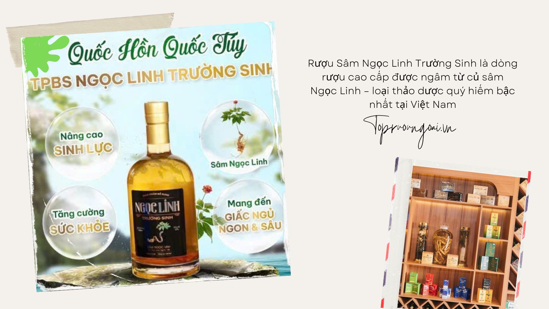 Mua rượu sâm Ngọc Linh Trường Sinh, giá tốt nhất tại Hà Nội