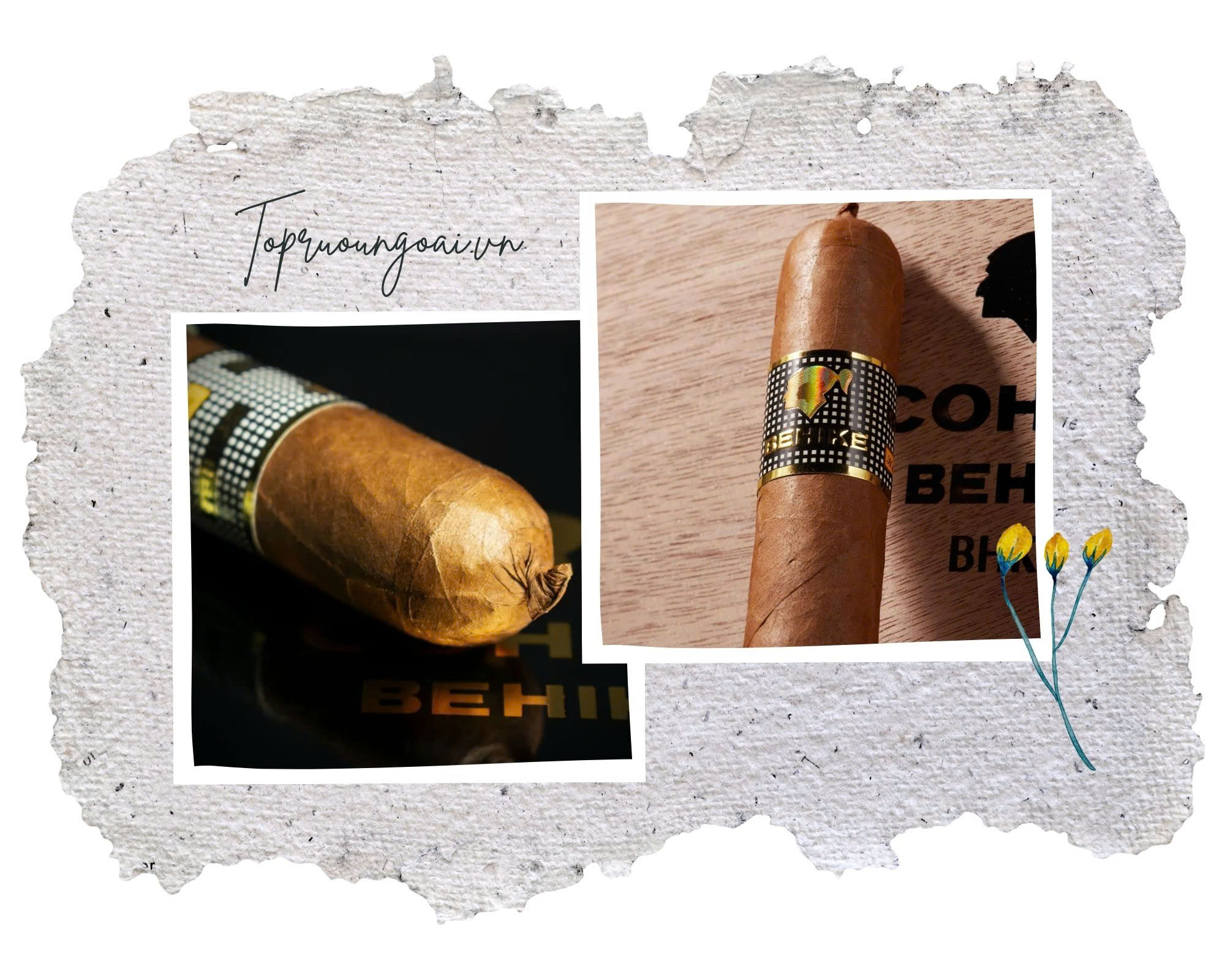 Cigar Behike 52, 54, 56 – Đỉnh cao xì gà Cuba & Địa chỉ mua uy tín tại Hà Nội