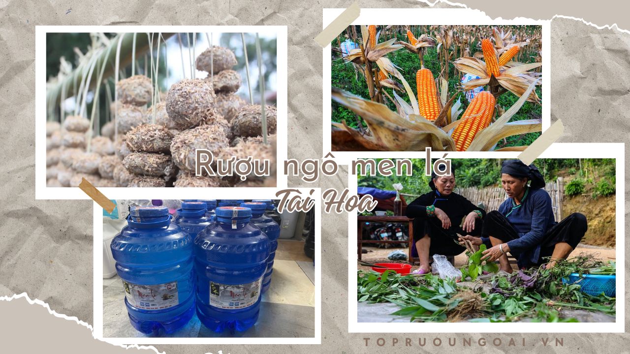 Rượu Men Lá Tài Hoa – Êm hơn nhờ công nghệ lọc Nhật Bản