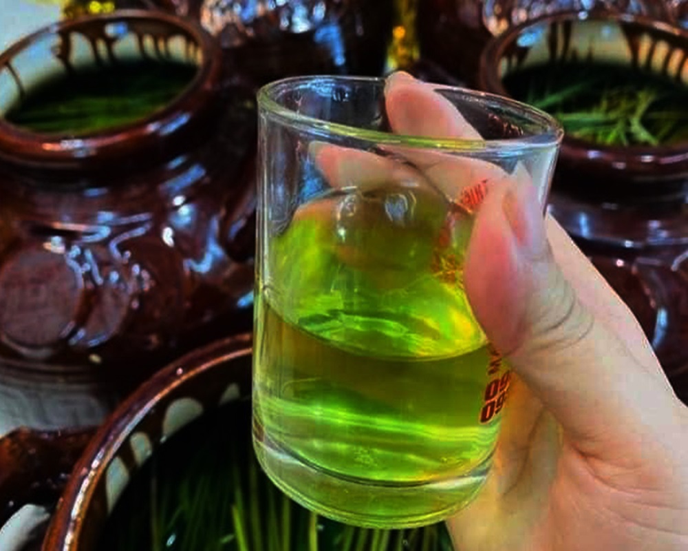 Hướng dẫn thưởng thức rượu Tài Hoa đúng cách