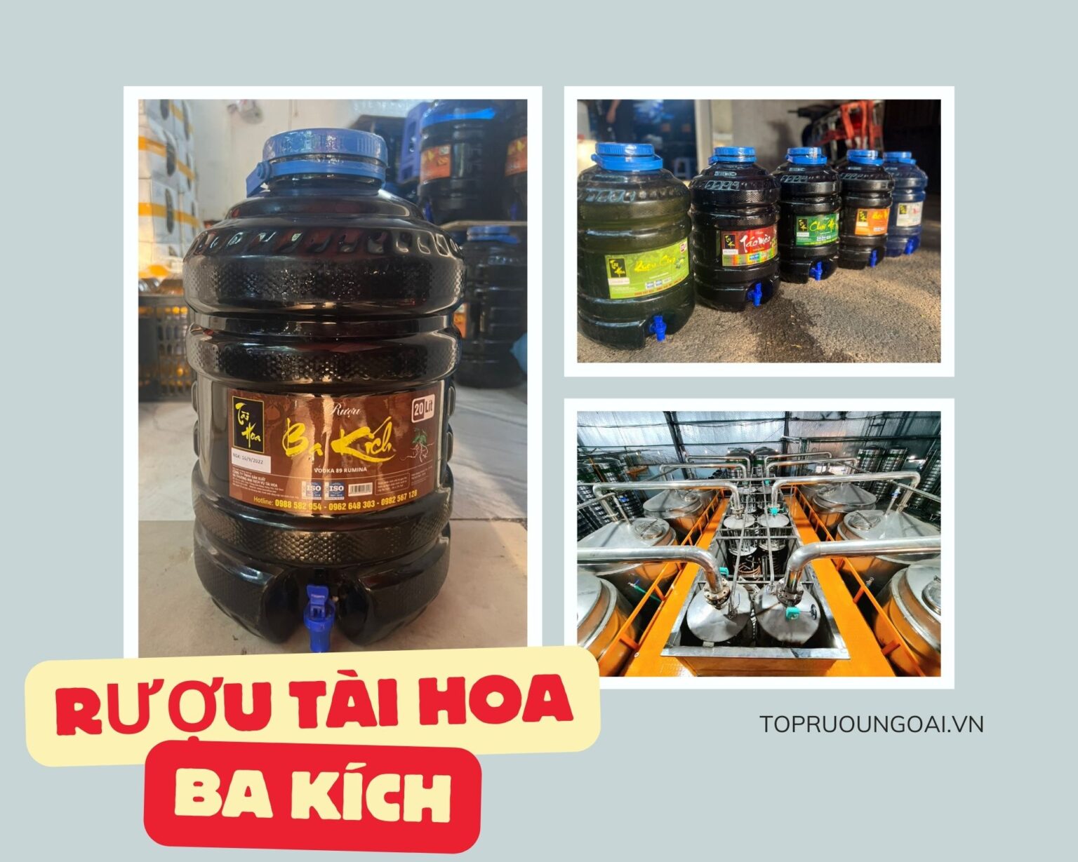 Rượu Ba Kích Tài Hoa – Dòng rượu được nhiều quý ông yêu thích