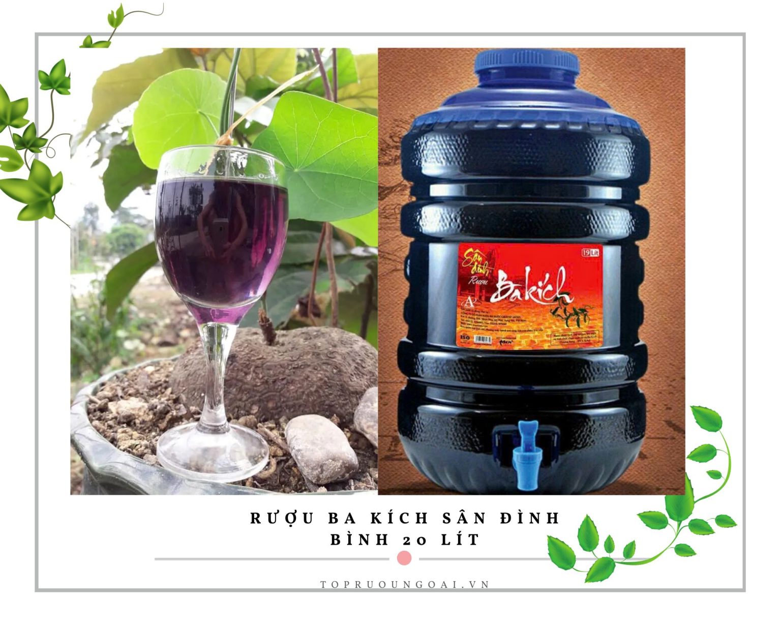 Topruoungoai.vn - Đại lý phân phối rượu Sân Đình chính hãng toàn quốc, giá tốt nhất