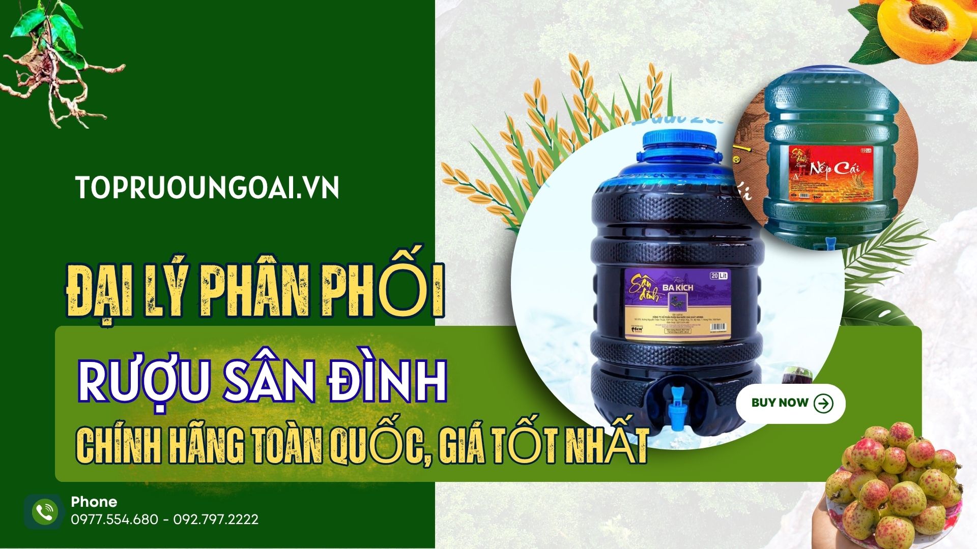 Topruoungoai.vn - Đại lý phân phối rượu Sân Đình chính hãng toàn quốc, giá tốt nhất